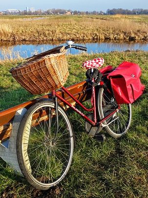 Accueil Vélo